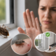 Do Stink Bugs Bite